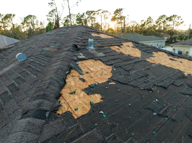 Best Roof Ventilation Installation  in Tornado, WV